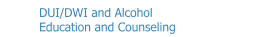 DUI/DWI Education and Counseling